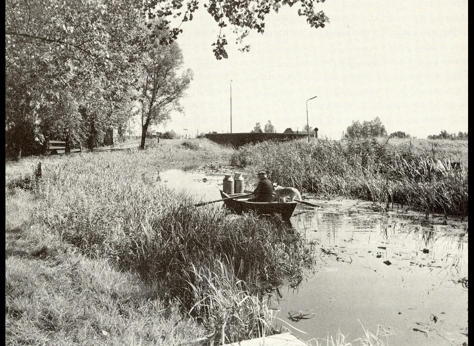 Bijlmermeer een stukje van de ringsloot bij de Gaasp (1963)