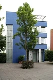 Willy Mullenskade 13, Blauwe Huis